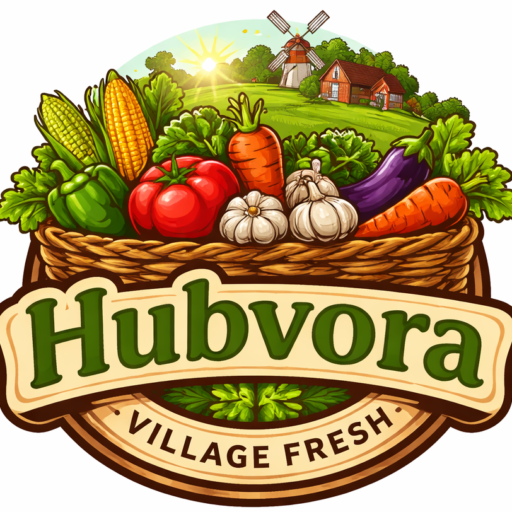 hubvora logo